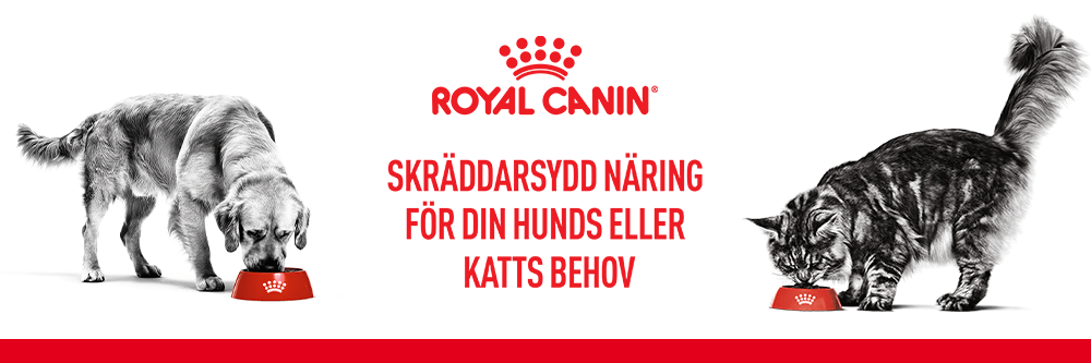 Royal Canin - Gaston
