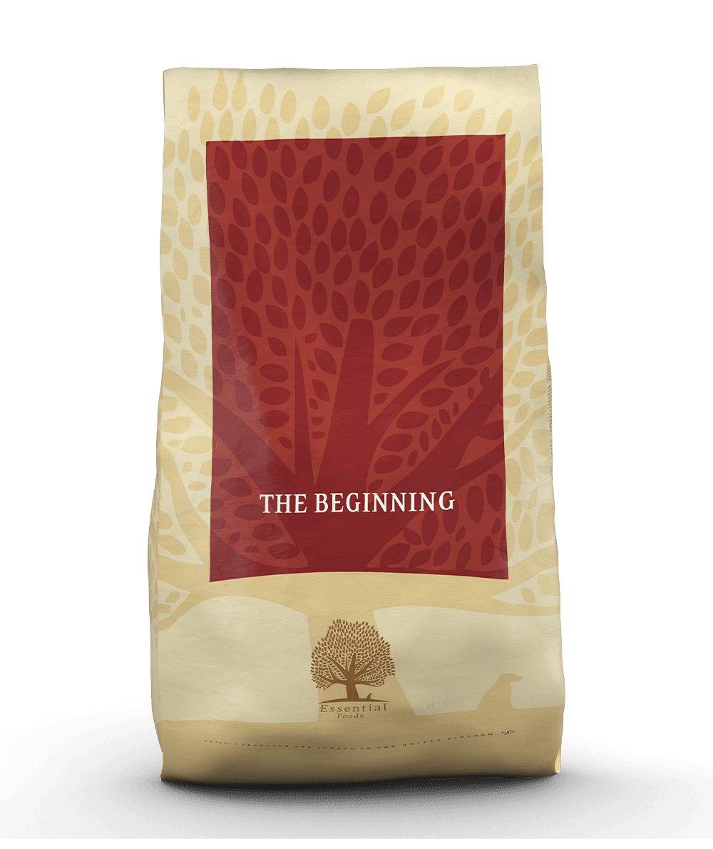 Essential The Beginning Small Breed - Handla på Gaston