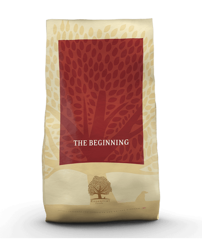 Essential The Beginning Small Breed - Handla på Gaston