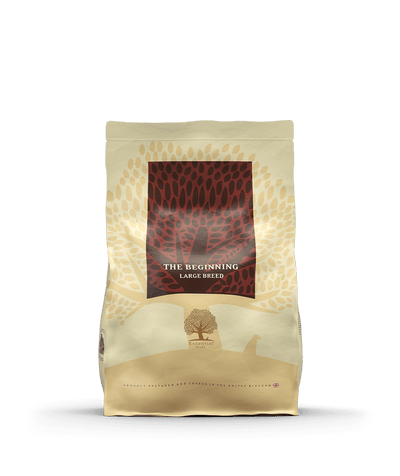 Essential The Beginning Large Breed - Handla på Gaston