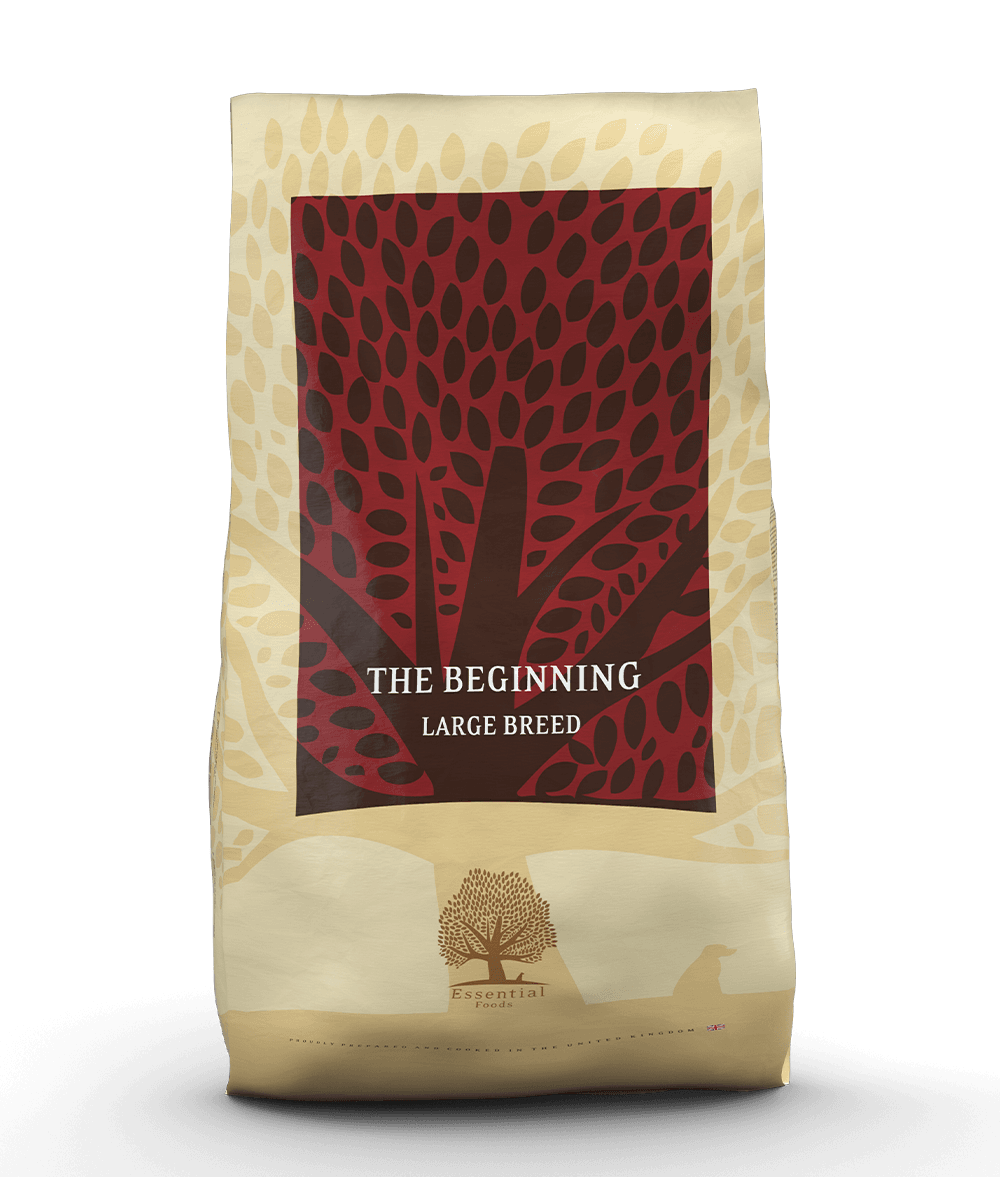 Essential The Beginning Large Breed - Handla på Gaston