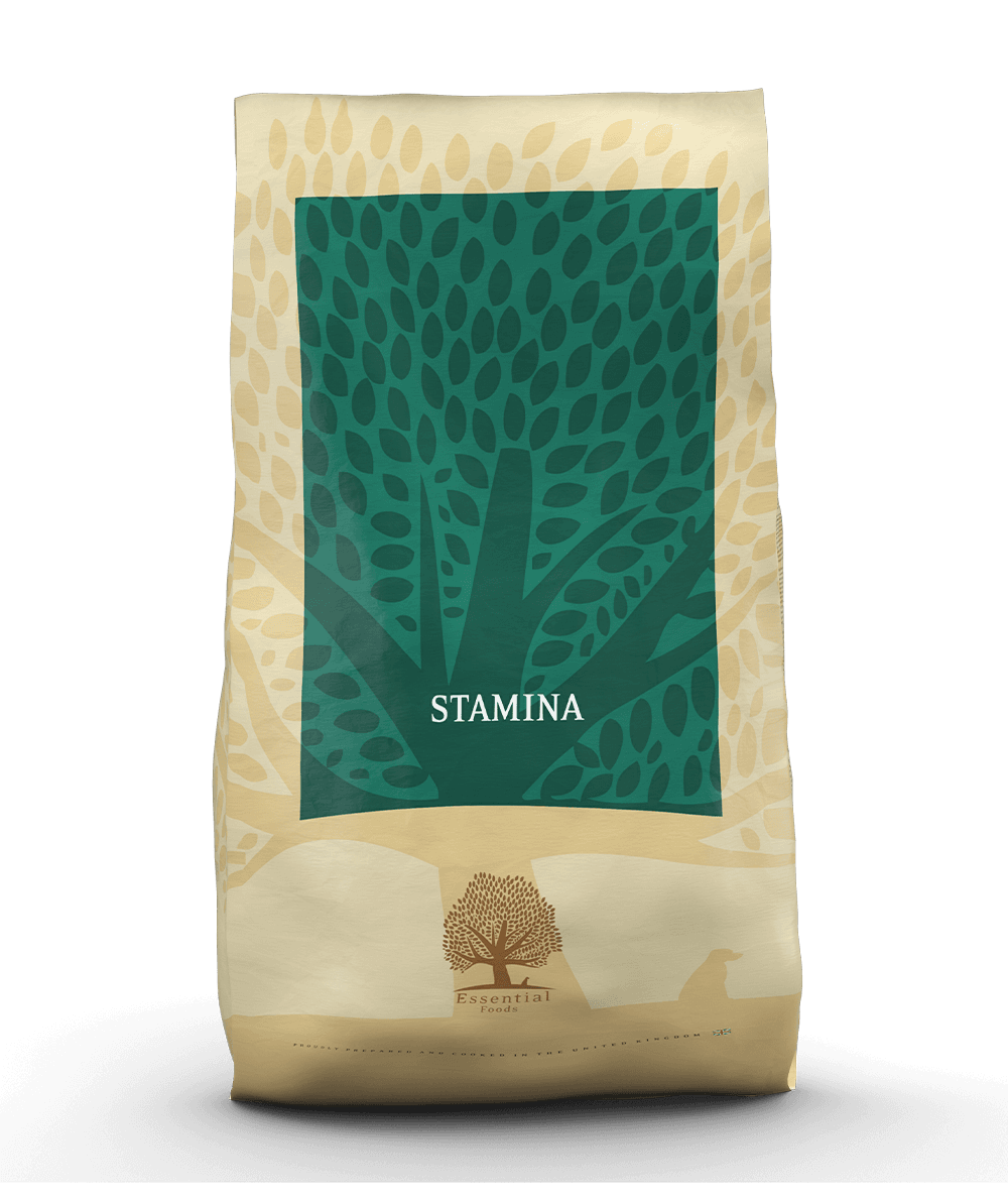 Essential Stamina - Handla på Gaston