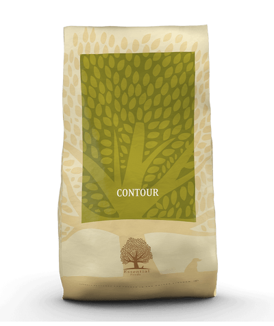 Essential Contour - Handla på Gaston