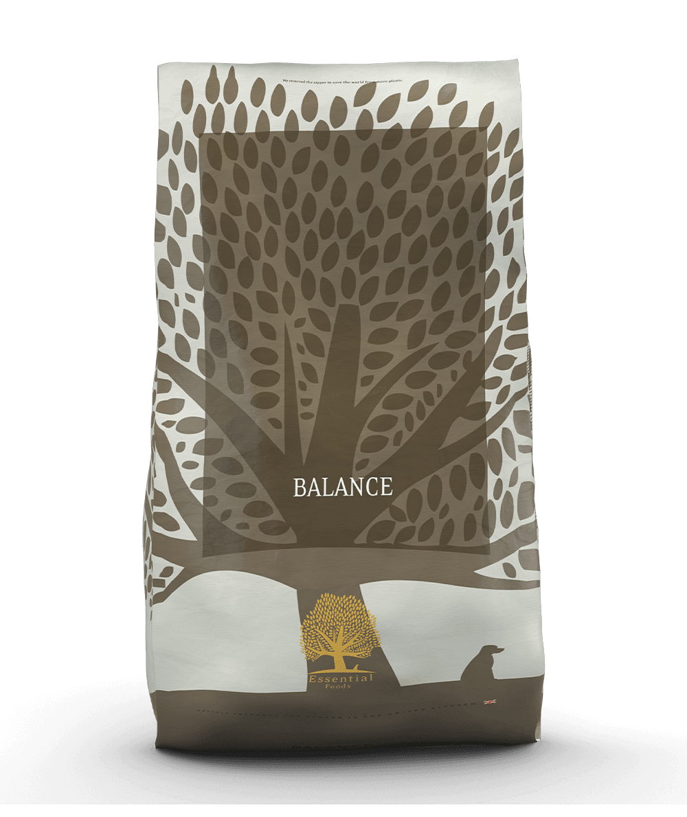 Essential Balance - Handla på Gaston