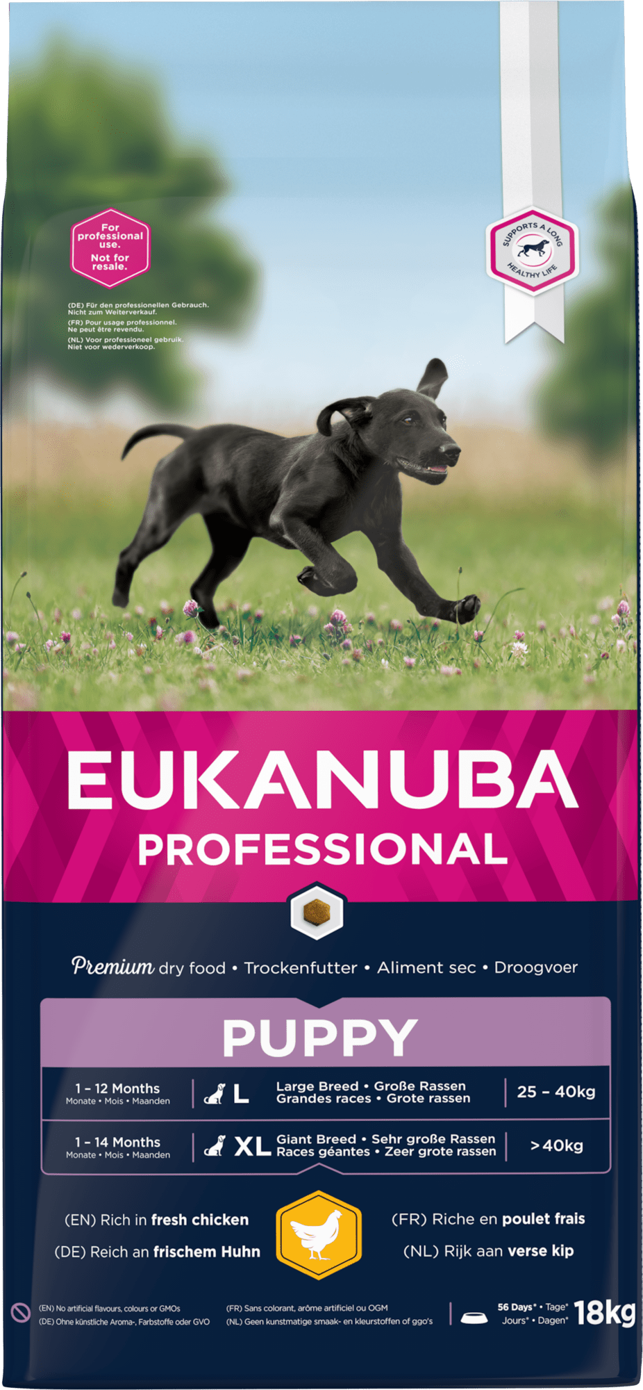 Eukanuba Dog Puppy Large - Handla på Gaston