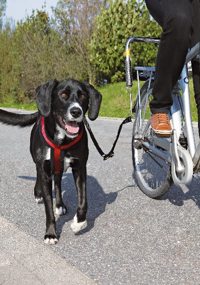 Trixie Biker - set L - form - Handla på Gaston