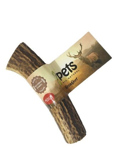 2pets Tugghorn Hjort - Handla på Gaston