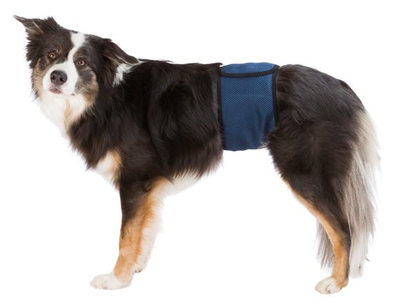 Trixie Hanhundsskydd - Handla på Gaston