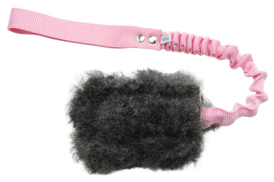 Bistos träningsleksak Nova får - Handla på Gaston