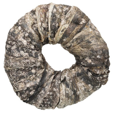 Trixie Denta Fun Tuggring, fisk - Handla på Gaston