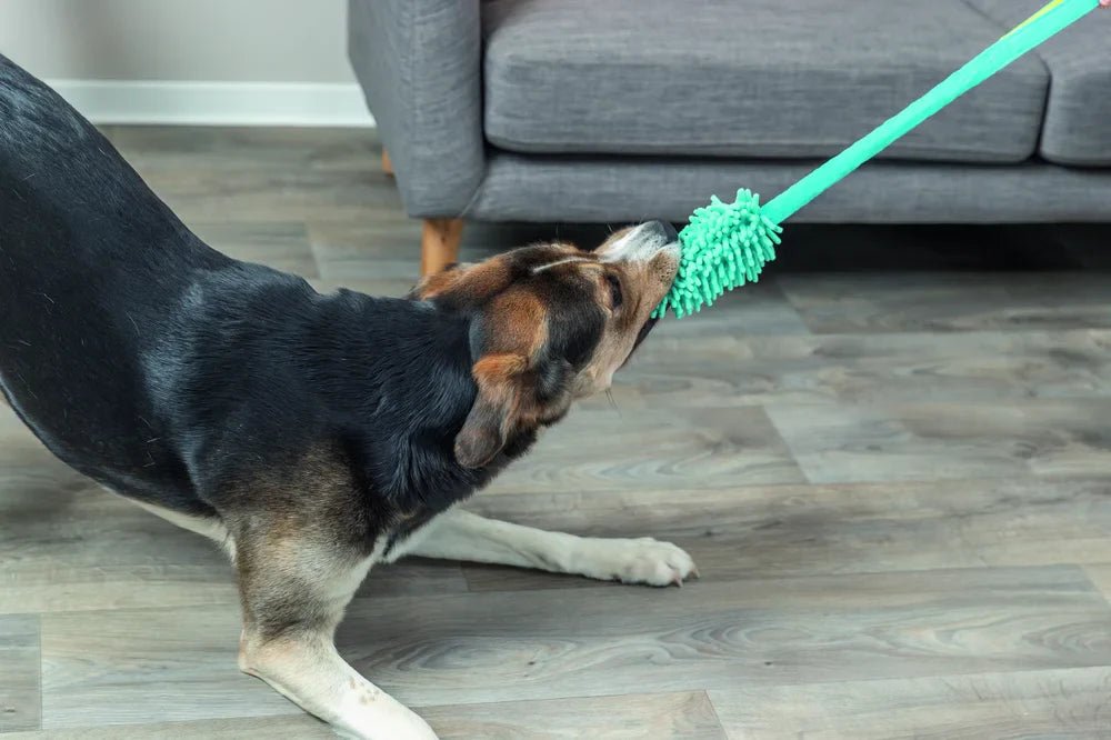 TRIXIE Bungee Dummy, petrol - Handla på Gaston