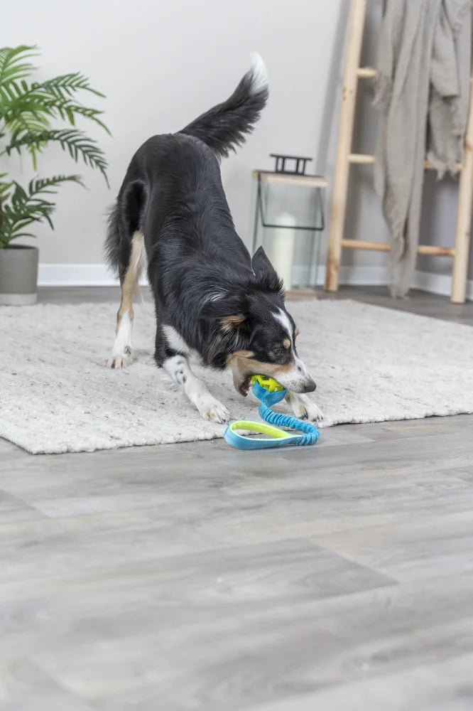 TRIXIE Bungee Tugger med boll, petrol/lime - Handla på Gaston