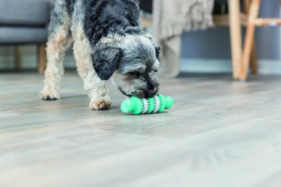 Denta Fun, rulle med mintsmak - Handla på Gaston