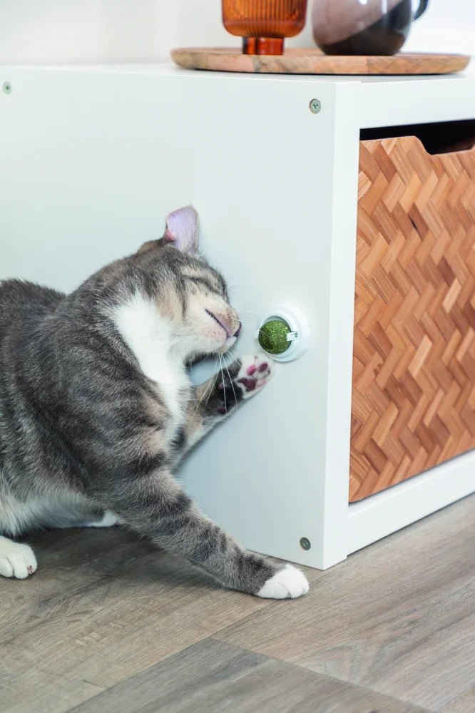 TRIXIE Catnipboll med hållare - Handla på Gaston