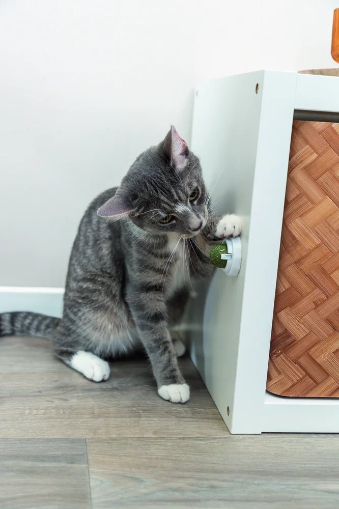 TRIXIE Catnipboll med hållare - Handla på Gaston