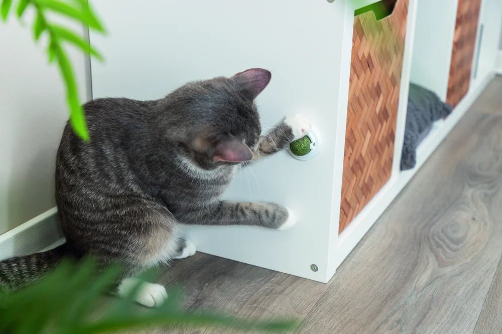 TRIXIE Catnipboll med hållare - Handla på Gaston