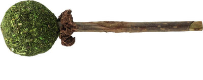 Matatabi LollyPop med catnip - Handla på Gaston