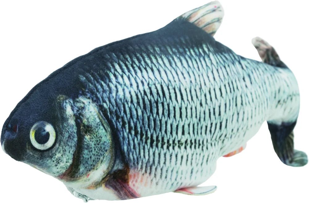 Fisk, sprattlande, catnip, USB - laddad - Handla på Gaston