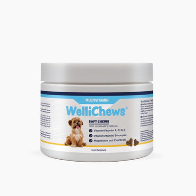 Wellichews Multivitamin Dog - Handla på Gaston