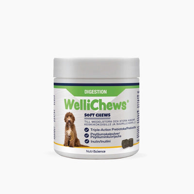 Wellichews Digestion Medium/Large Dog - Handla på Gaston
