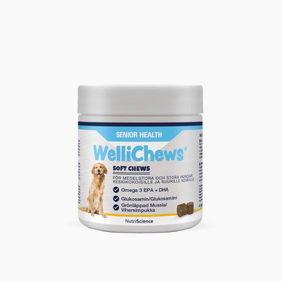 Wellichews Senior Medium/Large Dog - Handla på Gaston