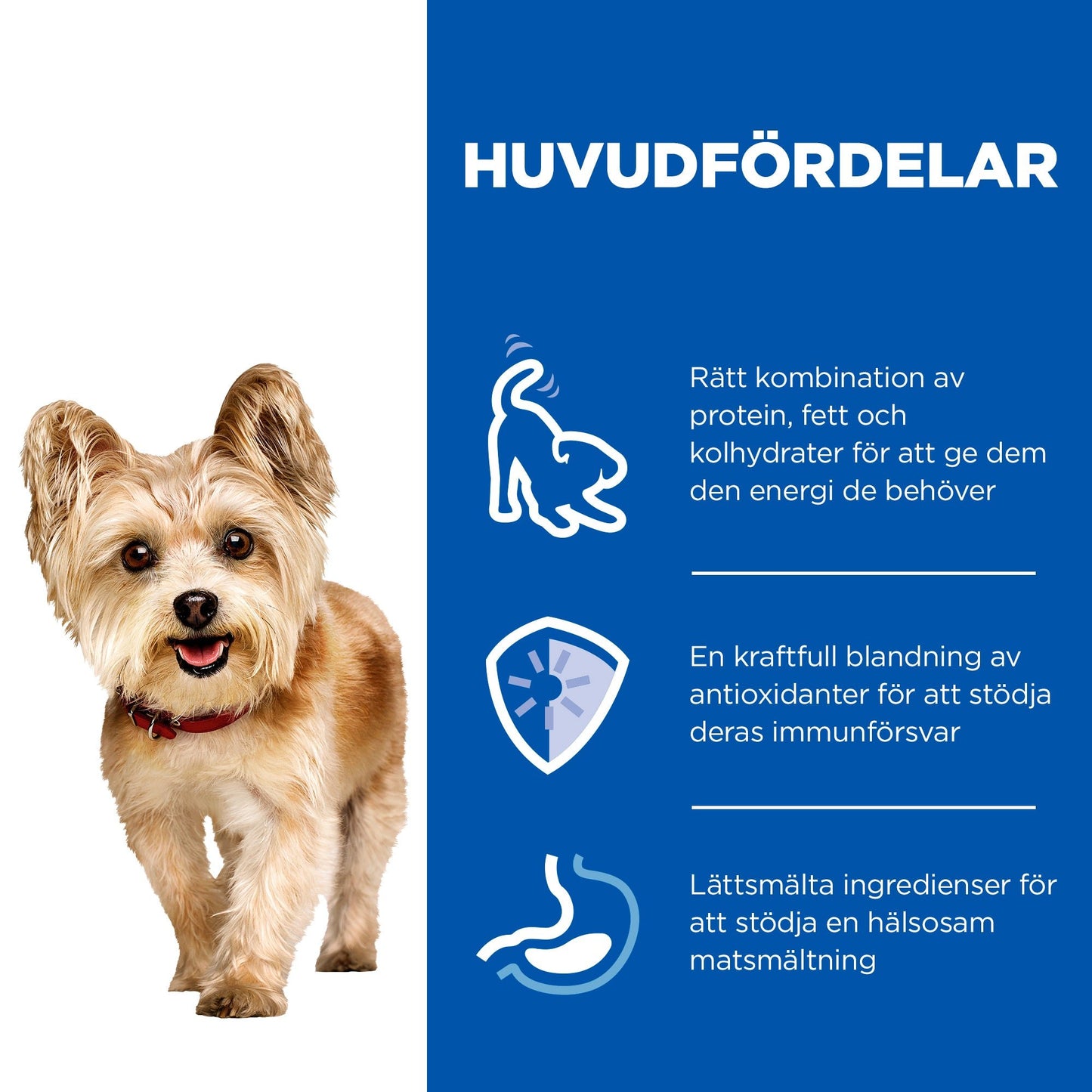 Hill's Science Plan Small & Mini Mature Adult mousse med kyckling - Handla på Gaston