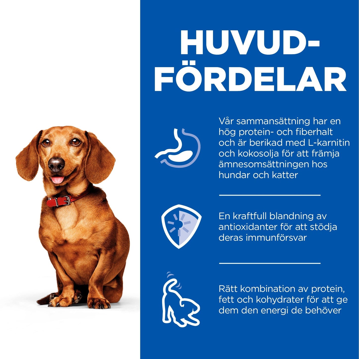 Hill's Science Plan Perfect Weight Adult Small & Mini mousse med kalkon - Handla på Gaston