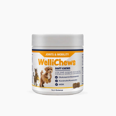 Wellichews Joint Small Dog - Handla på Gaston