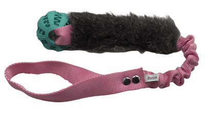 Bistos träningsleksak Ziva - Handla på Gaston