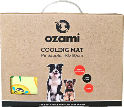 Ozami Kyldyna Pineapple - Handla på Gaston