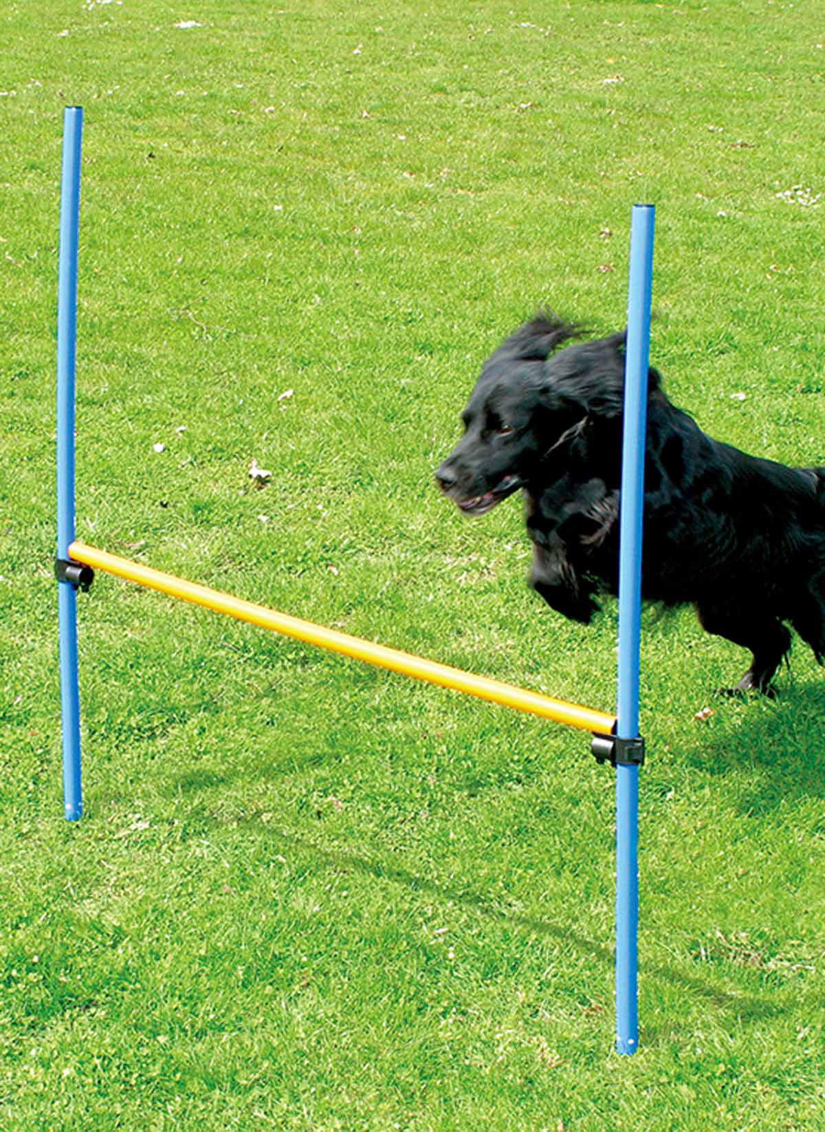 PAWISE AGILITY HINDER HÖJD116CM