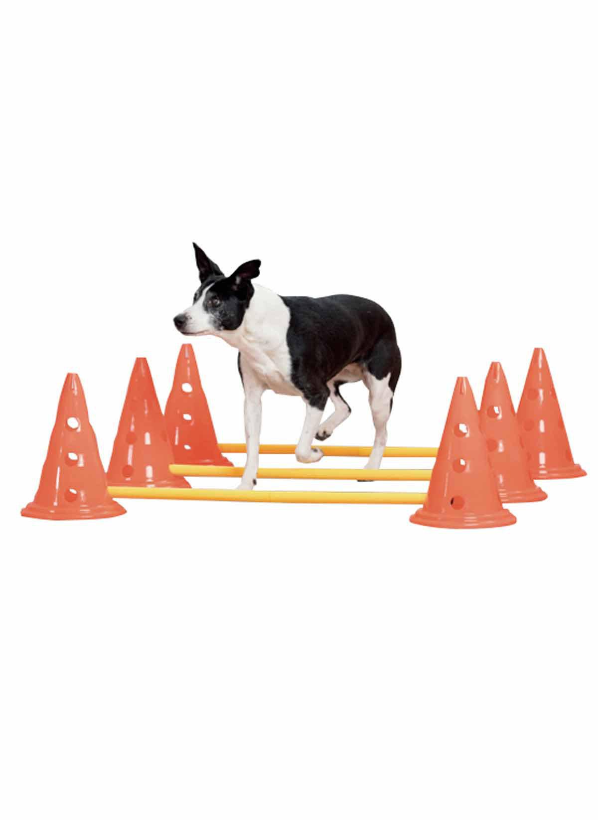 PAWISE AGILITY HINDER MED KONER 30CM