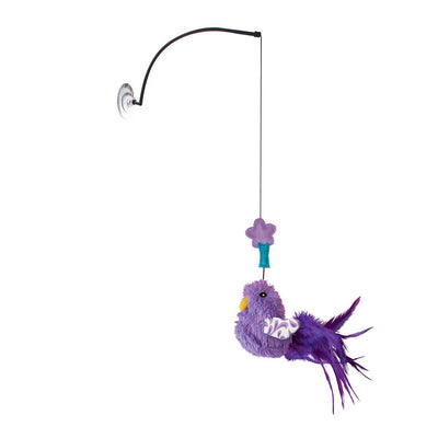 Kong Cat Connects Window Teaser - Handla på Gaston