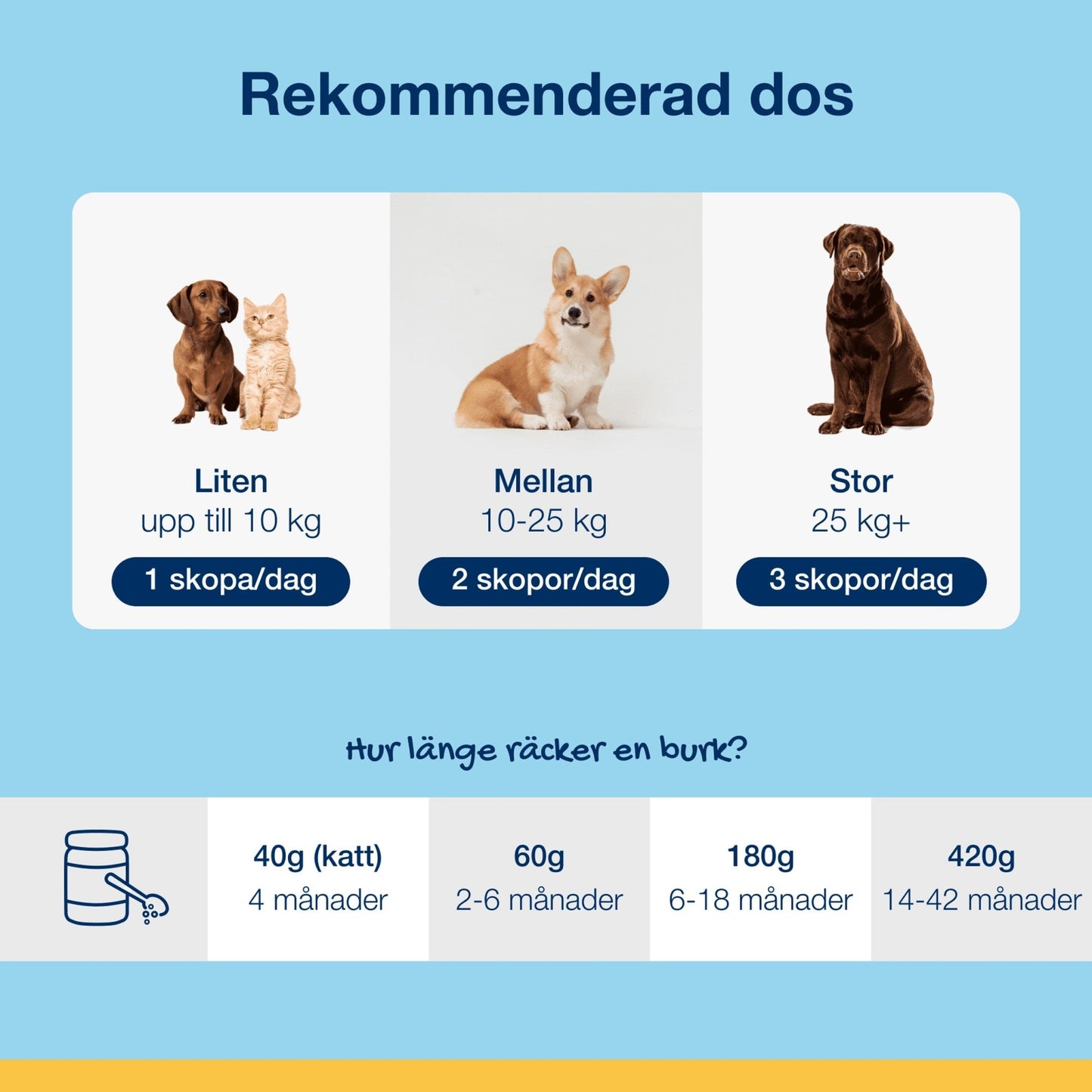ProDen PlaqueOff® Powder Cat - Handla på Gaston