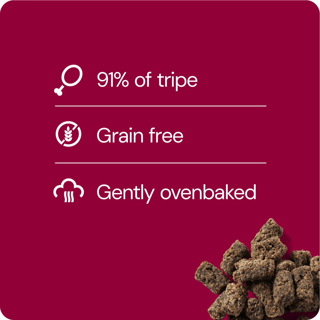 RAUH! Godis Beef Tripe Treat - Handla på Gaston