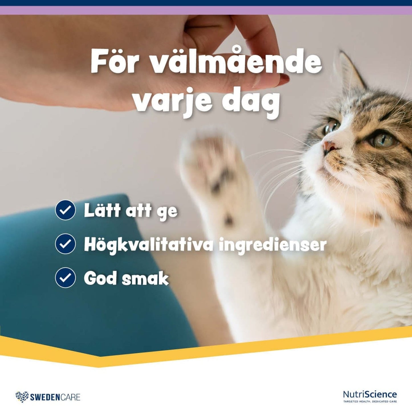 Wellichews Calm Small Dog/Cat - Handla på Gaston