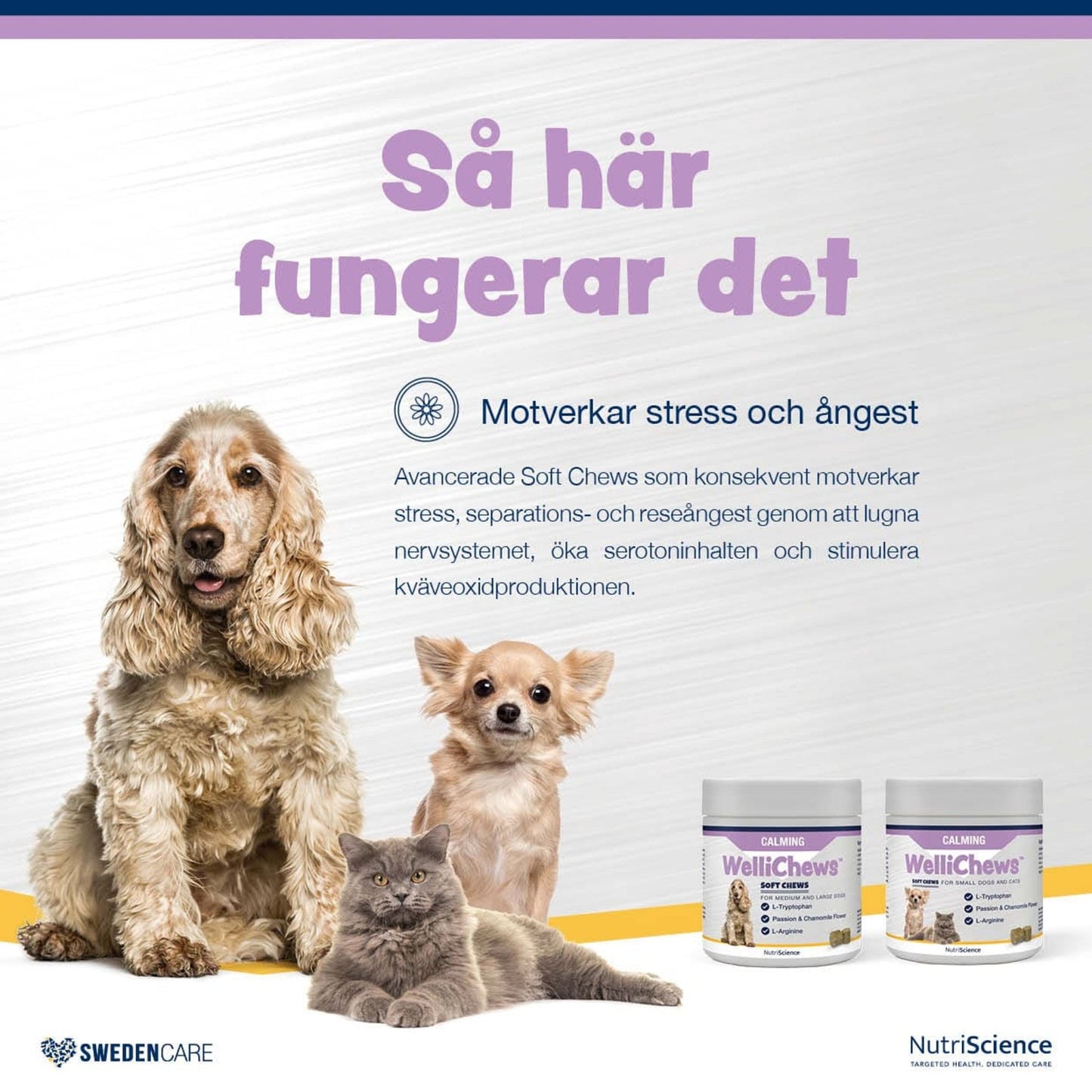 Wellichews Calm Small Dog/Cat - Handla på Gaston