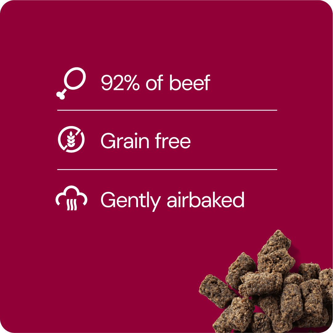 RAUH! Godis Cold - dried meatballs - Handla på Gaston