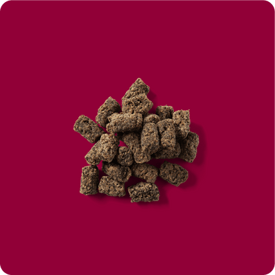 RAUH! Godis Cold - dried Tripe Sticks - Handla på Gaston