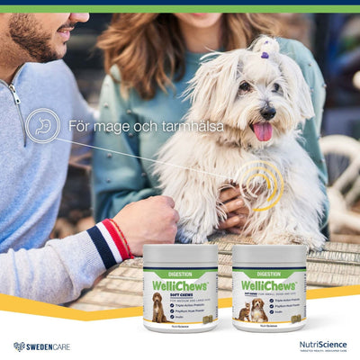 Wellichews Digestion Medium/Large Dog - Handla på Gaston