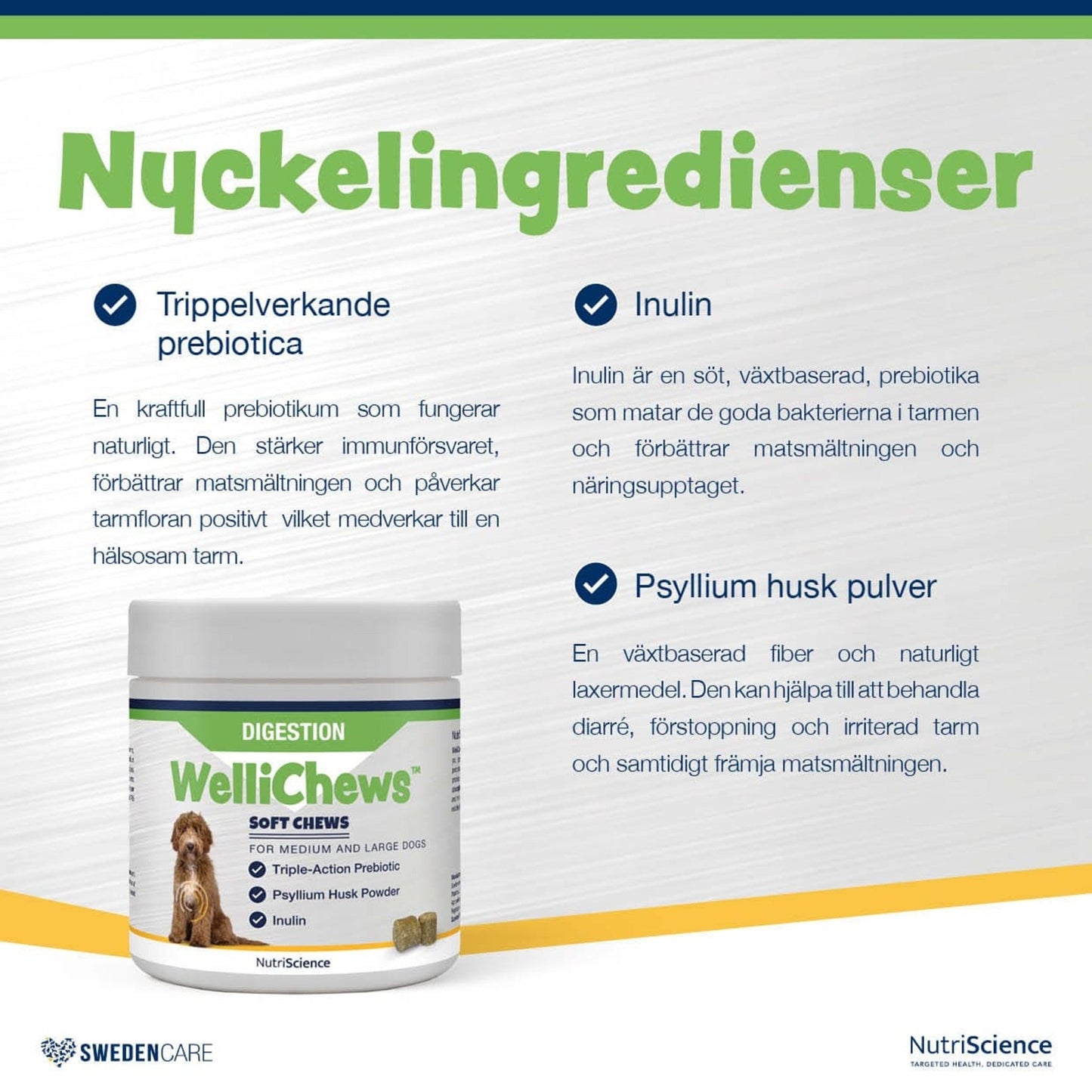 Wellichews Digestion Medium/Large Dog - Handla på Gaston