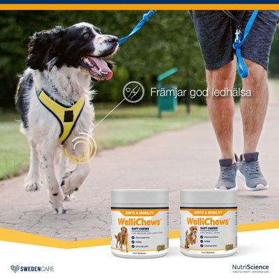 Wellichews Joint Medium/Large Dog - Handla på Gaston