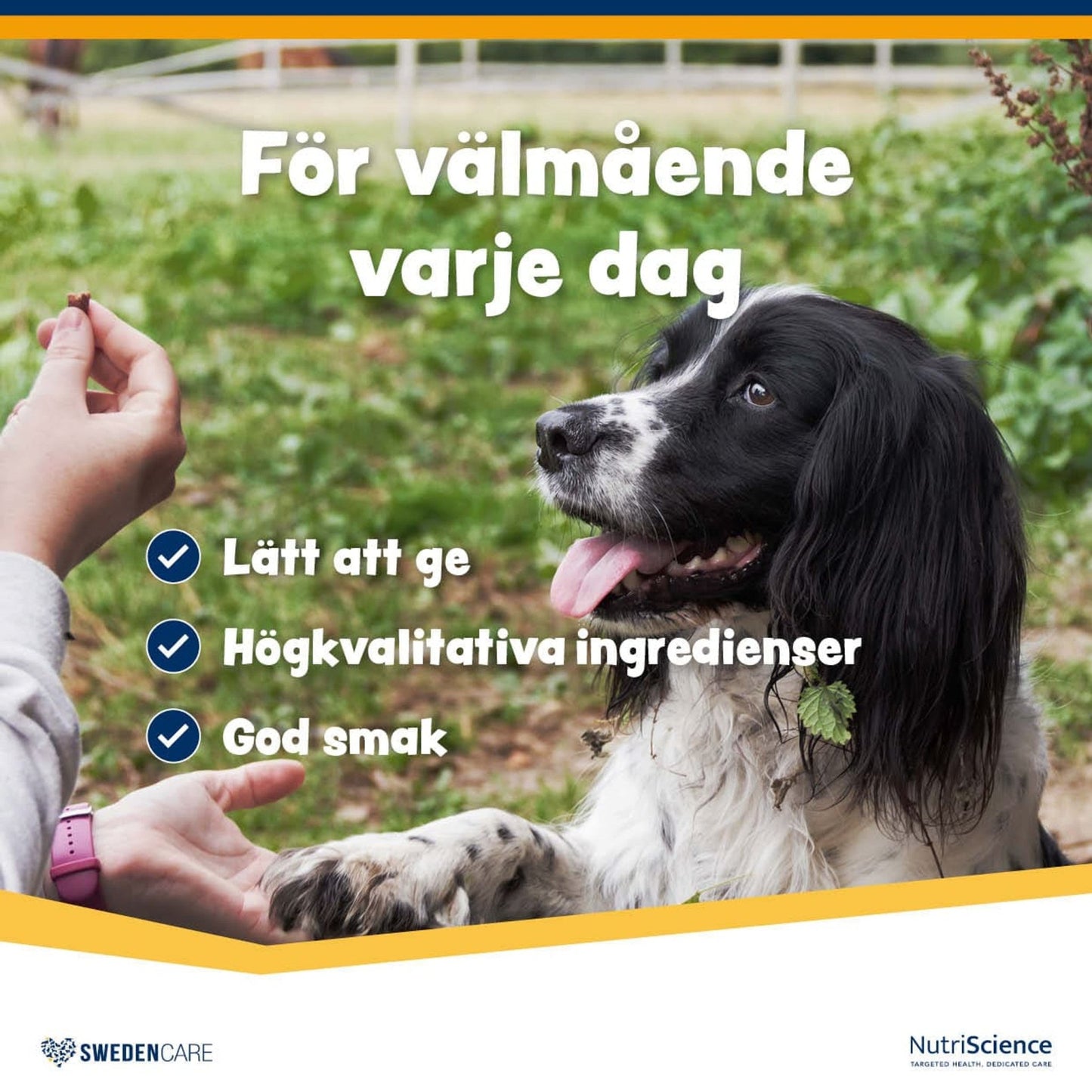 Wellichews Joint Medium/Large Dog - Handla på Gaston