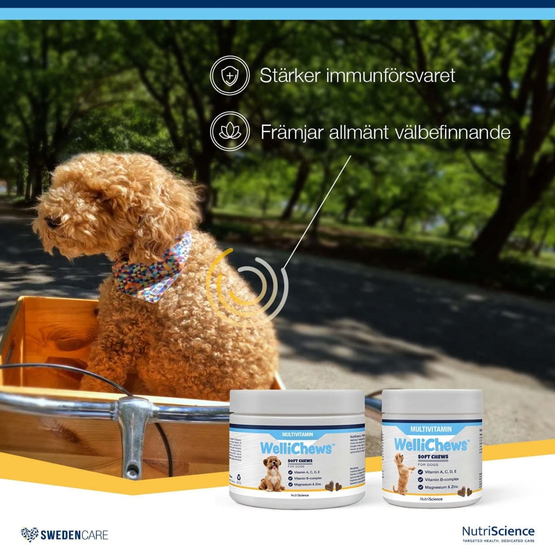 Wellichews Multivitamin Dog - Handla på Gaston