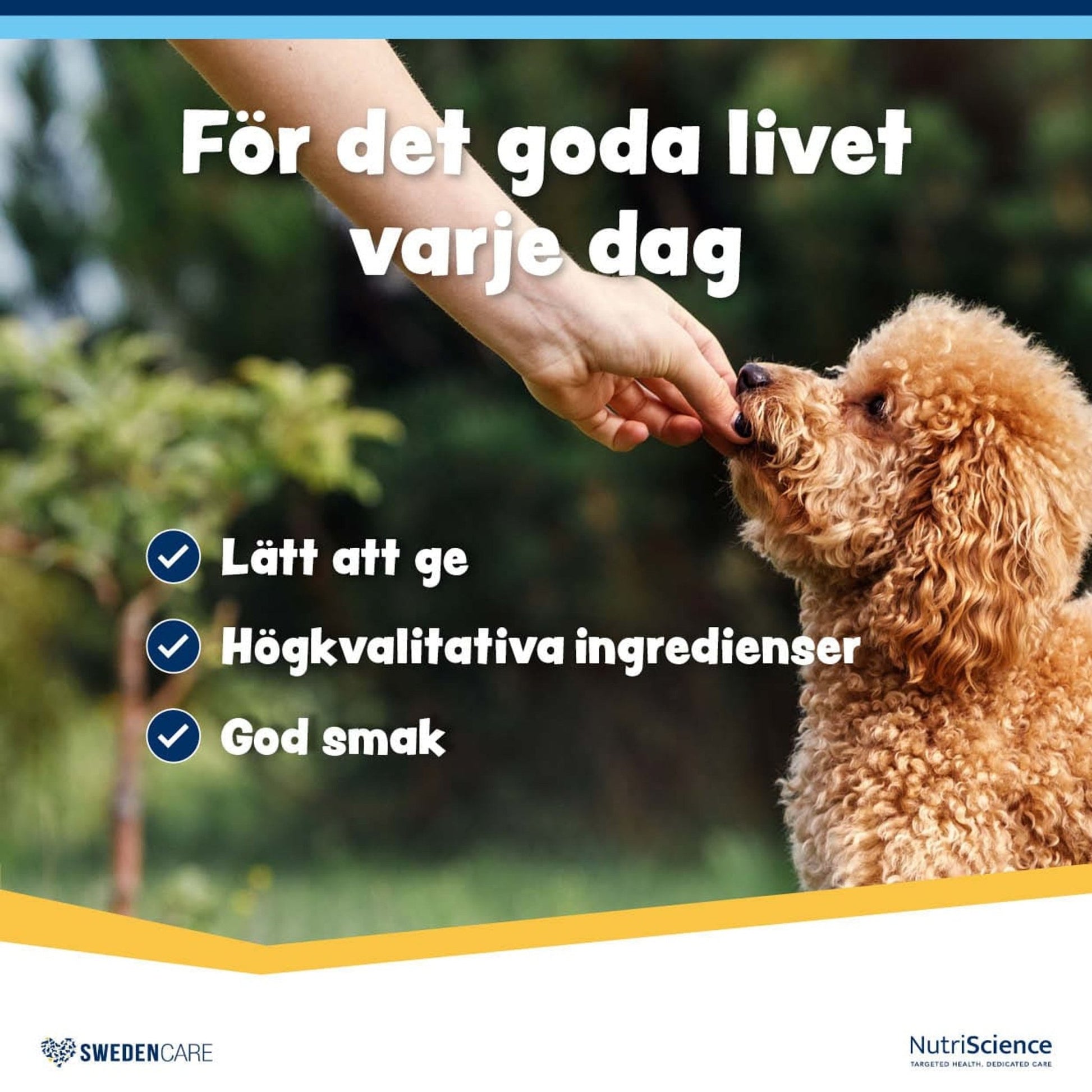 Wellichews Multivitamin Dog - Handla på Gaston