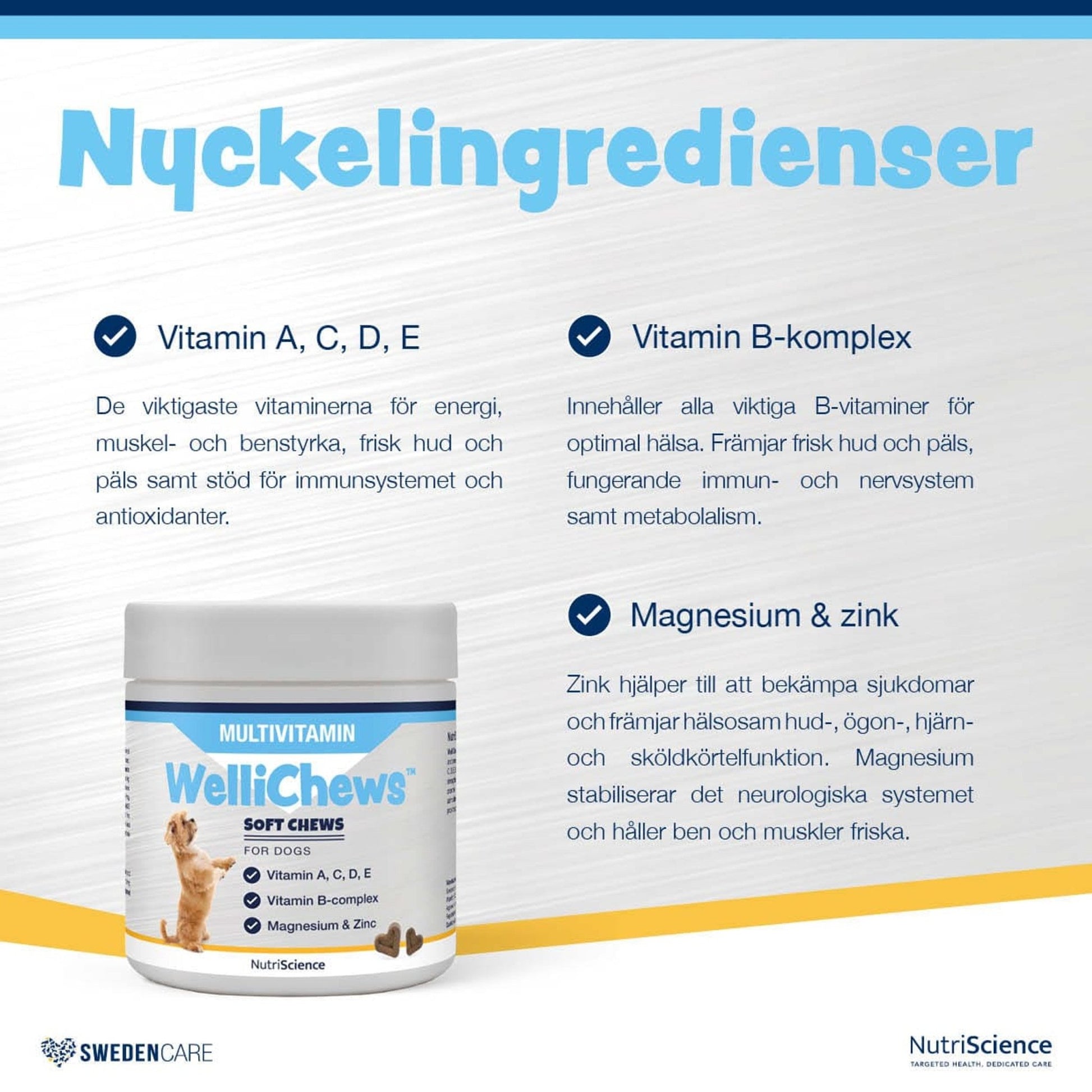 Wellichews Multivitamin Dog - Handla på Gaston