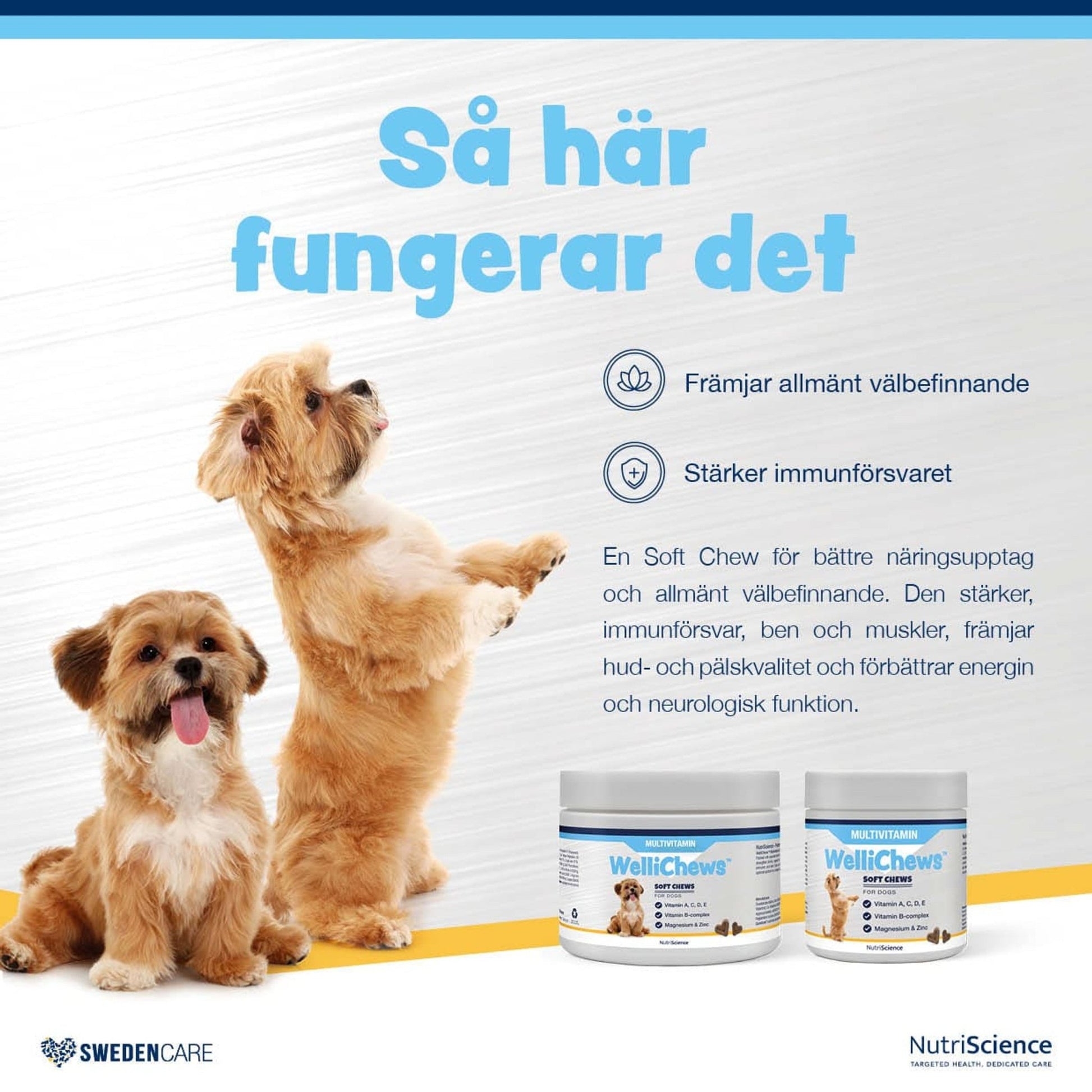 Wellichews Multivitamin Dog - Handla på Gaston