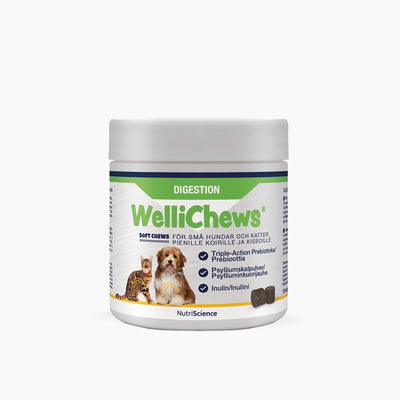 Wellichews Digestion Small Dog/Cat - Handla på Gaston