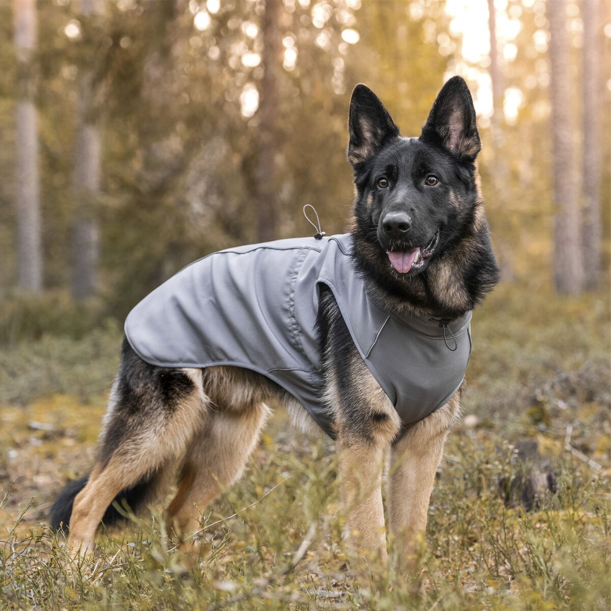 FINNERO Softshell - täcke Sport - Handla på Gaston