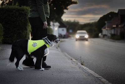Säkerhetsväst m. tasstryck, reflex - Handla på Gaston